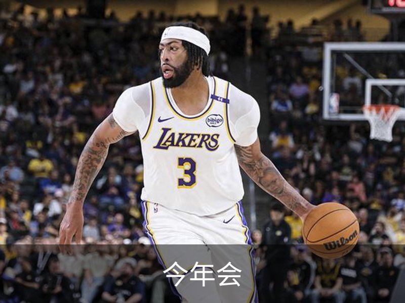 今年会简介